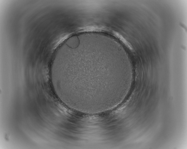 X0000096431213200801241331
