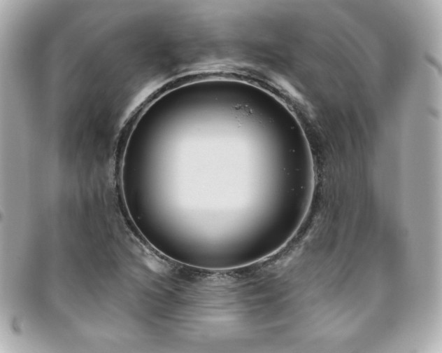X0000096431216200801241331