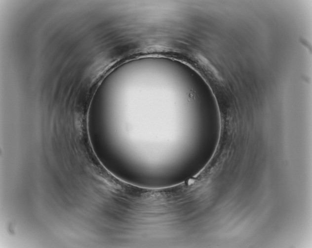 X0000096431217200801241331