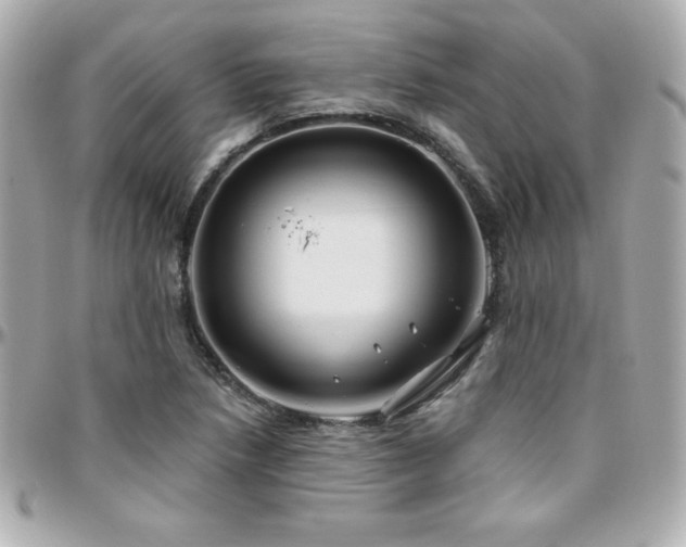 X0000096431218200801241331