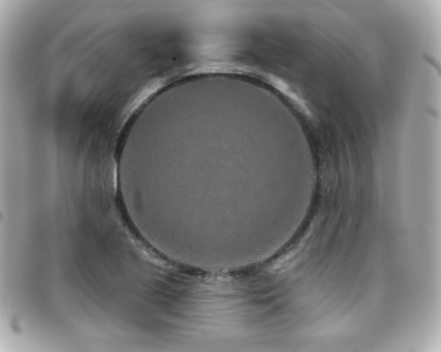 X0000096431221200801241331