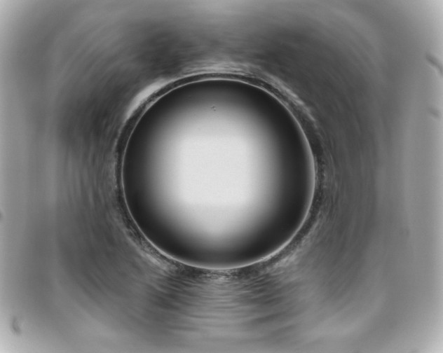 X0000096431222200801241331