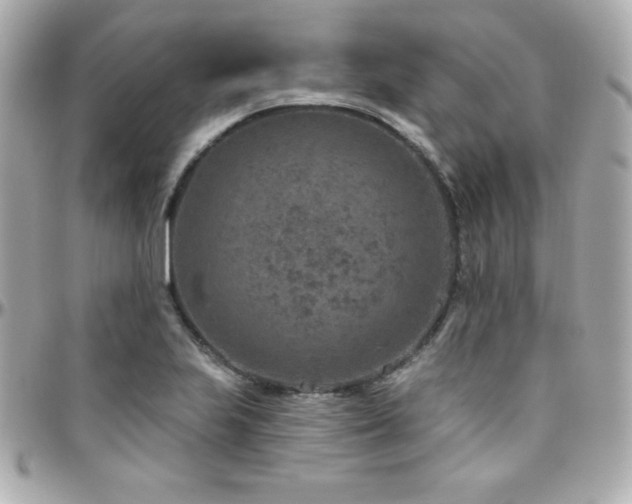 X0000096431223200801241331