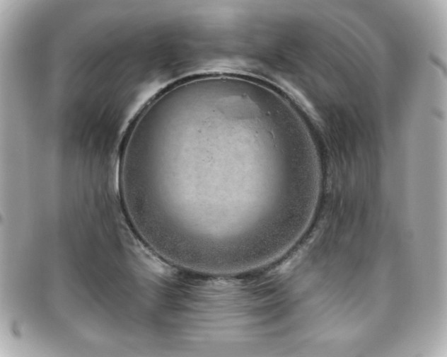 X0000096431224200801241331