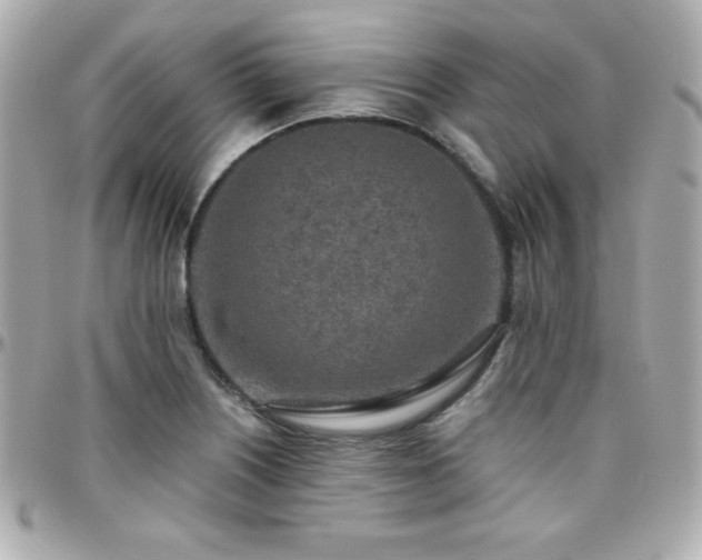 X0000096431226200801241331