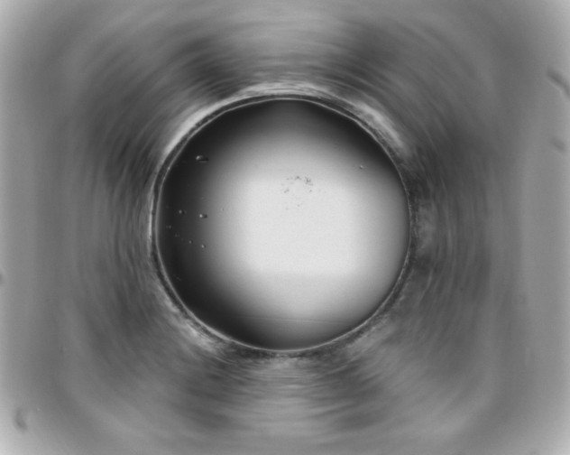 X0000096431228200801241331