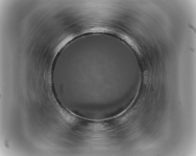 X0000096431229200801241331