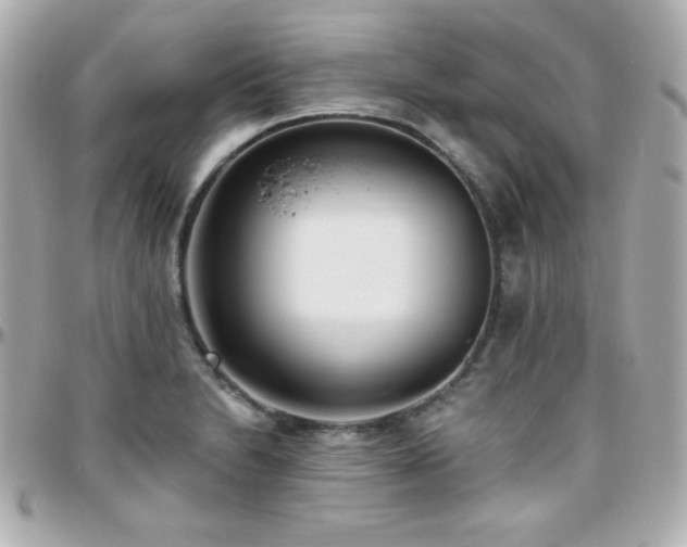X0000096431230200801241331