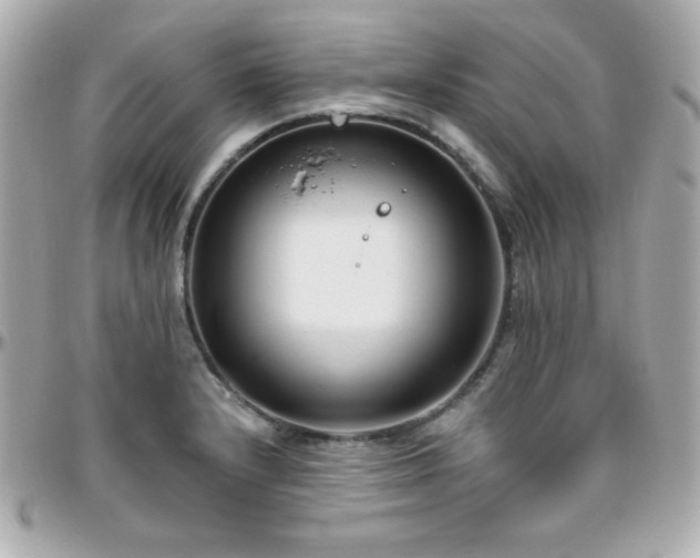 X0000096431232200801241331