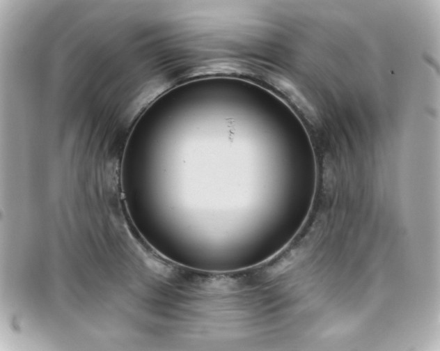 X0000096431233200801241331