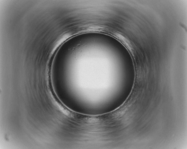 X0000096431235200801241331