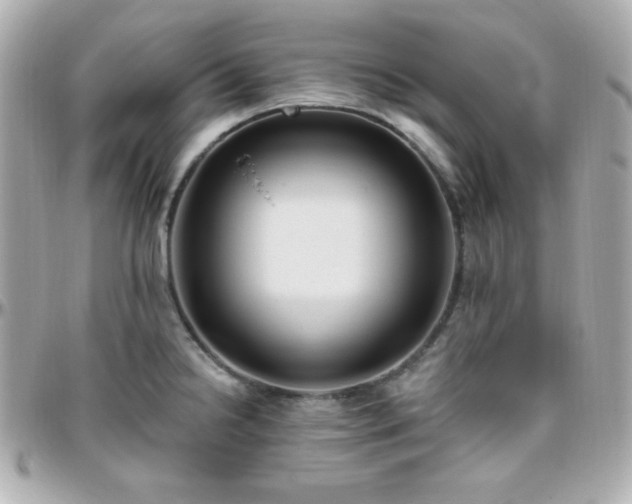 X0000096431238200801241332