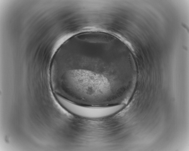 X0000096431239200801241332