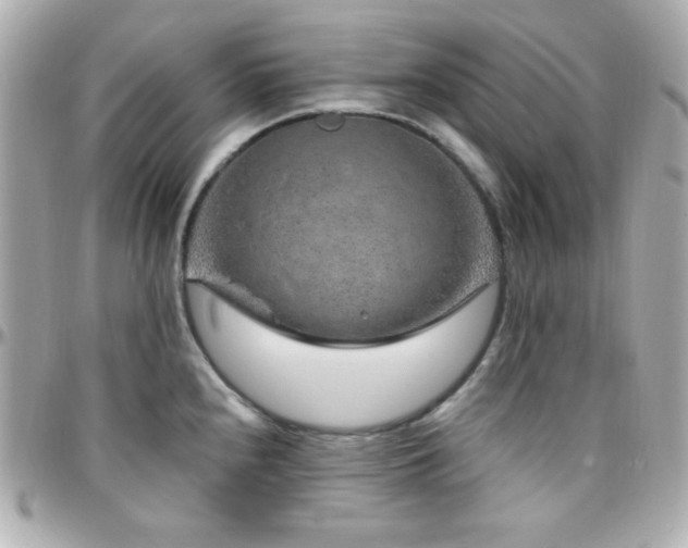 X0000096431240200801241332