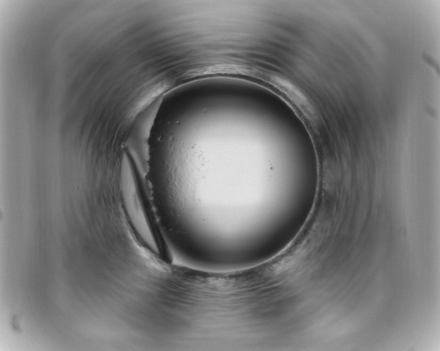 X0000096431241200801241332