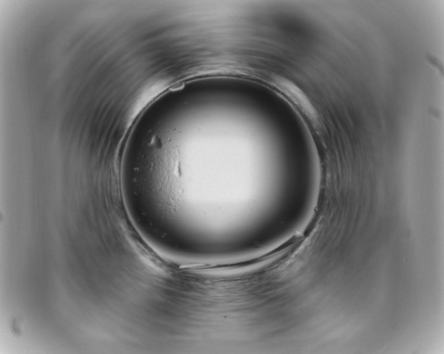X0000096431242200801241332