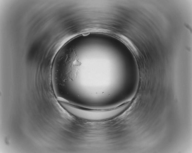 X0000096431244200801241332