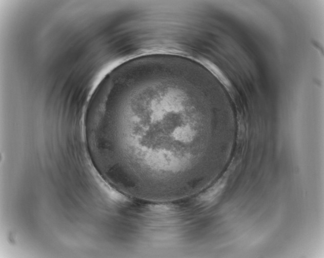 X0000096431246200801241332