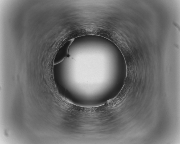X0000096431249200801241331