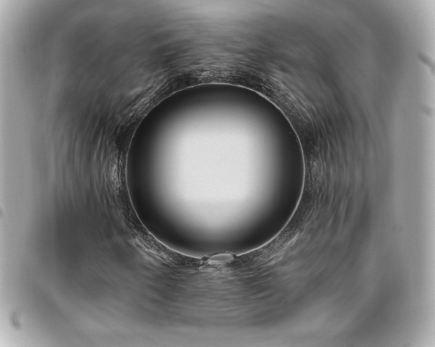 X0000096431250200801241331