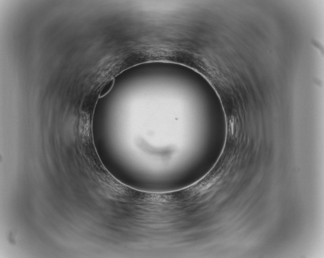 X0000096431251200801241331