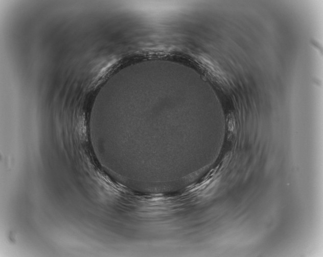 X0000096431252200801241331
