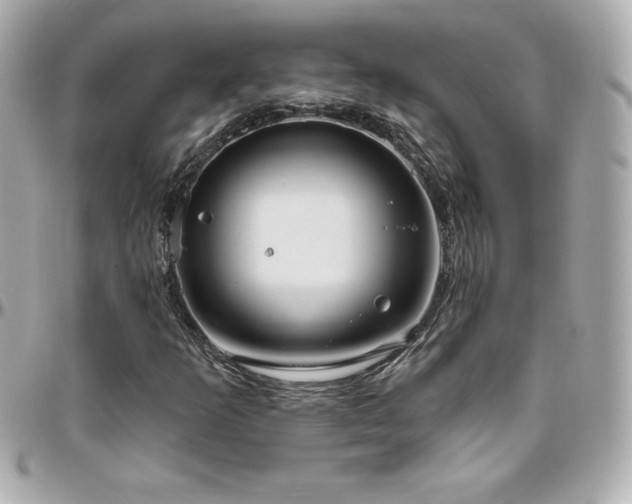 X0000096431253200801241331