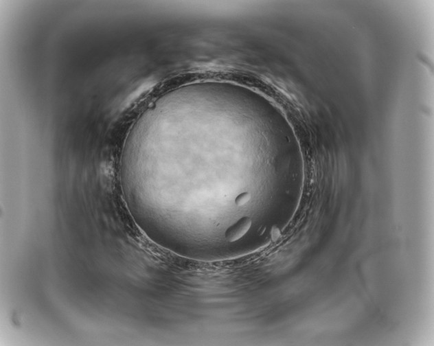 X0000096431254200801241331