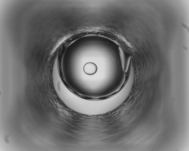 X0000096431256200801241331