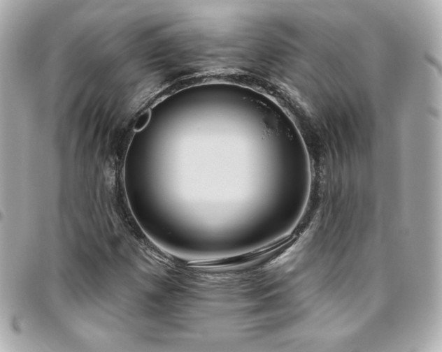 X0000096431257200801241331
