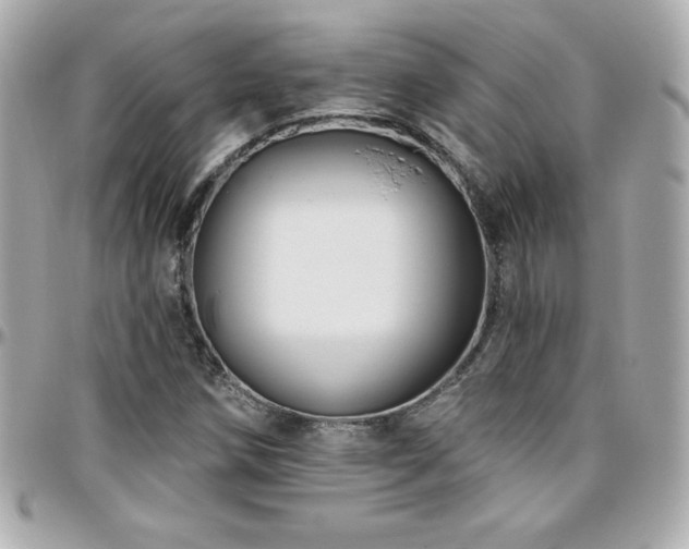 X0000096431258200801241331
