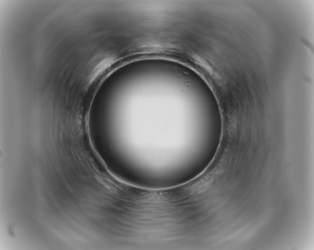 X0000096431259200801241331
