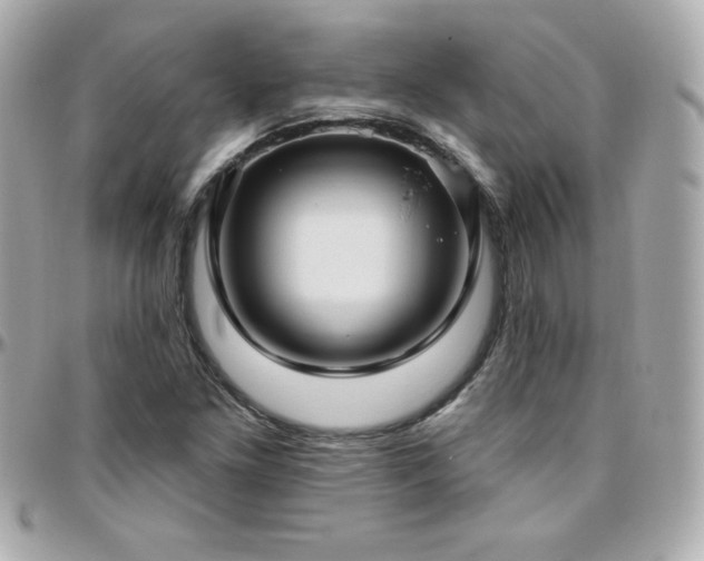 X0000096431261200801241331