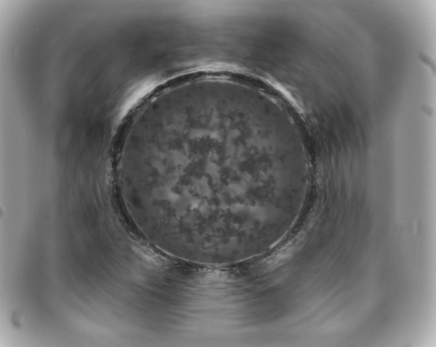 X0000096431263200801241331