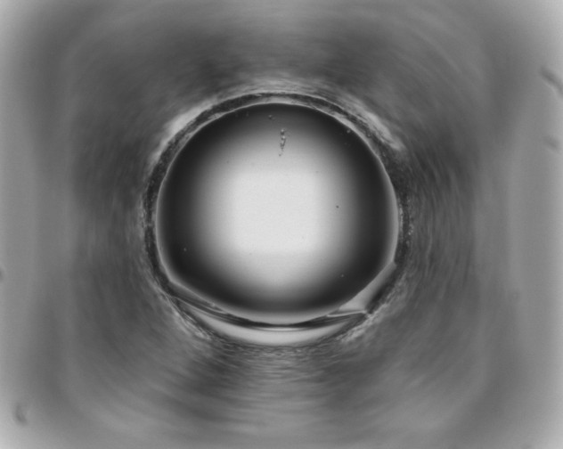 X0000096431264200801241331