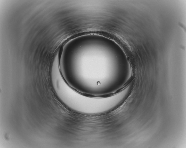 X0000096431265200801241331