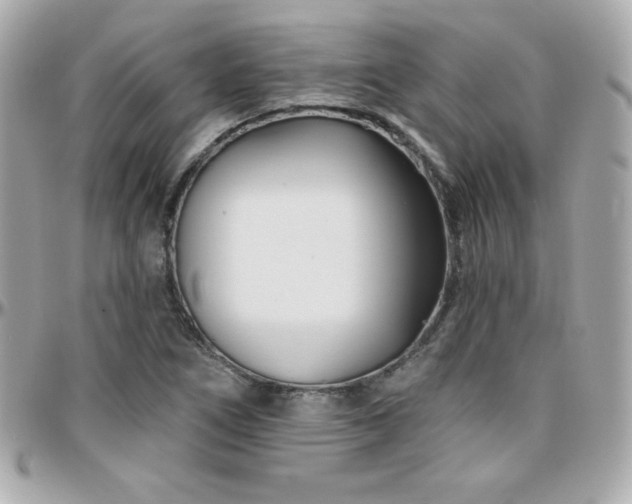 X0000096431266200801241331