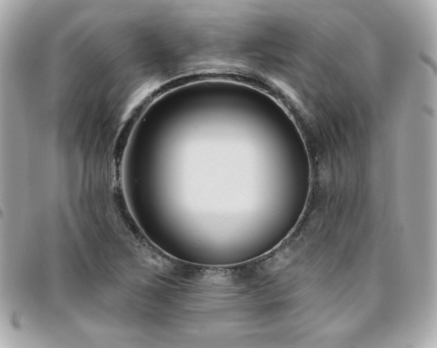 X0000096431267200801241331