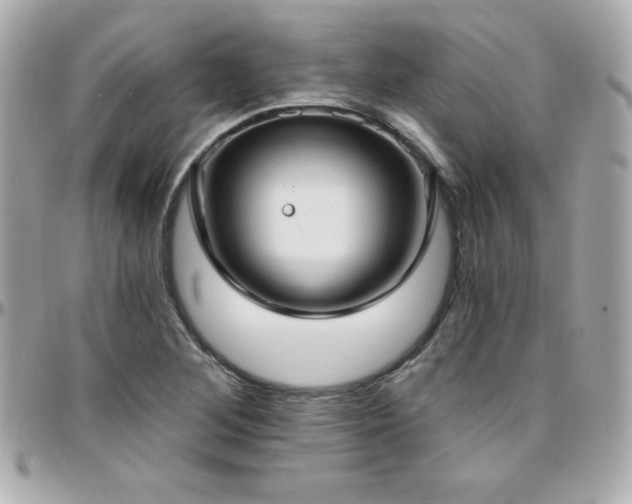 X0000096431268200801241331