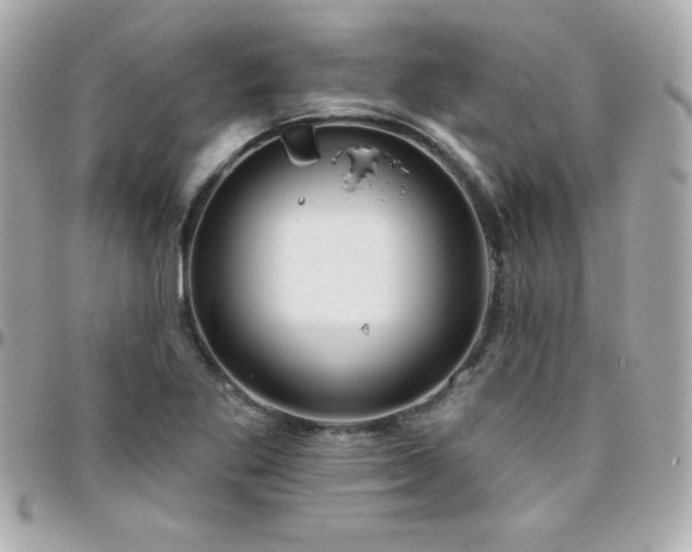 X0000096431269200801241331