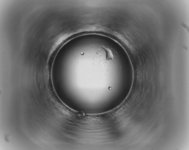 X0000096431270200801241331