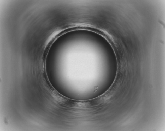 X0000096431271200801241331