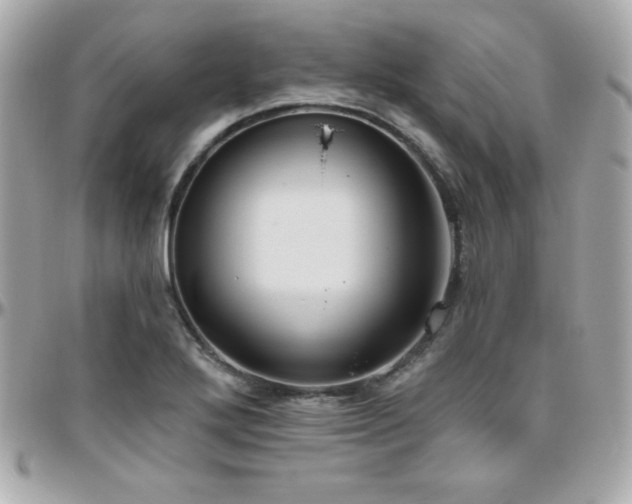 X0000096431272200801241331