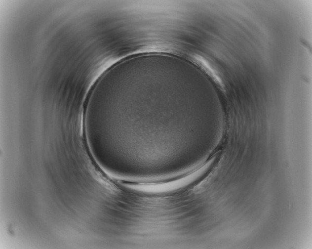X0000096431276200801241330