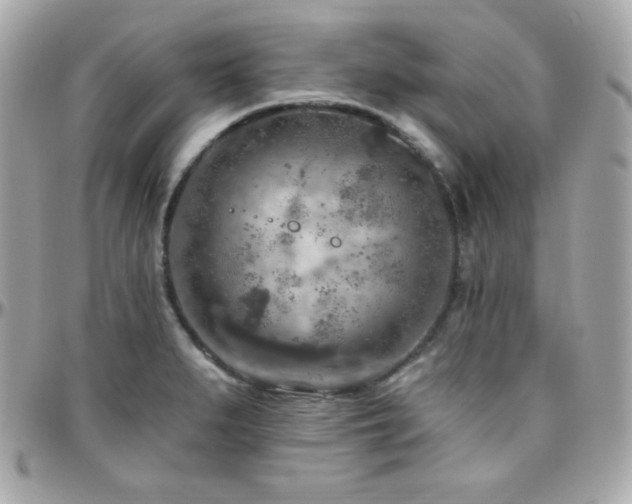 X0000096431279200801241330