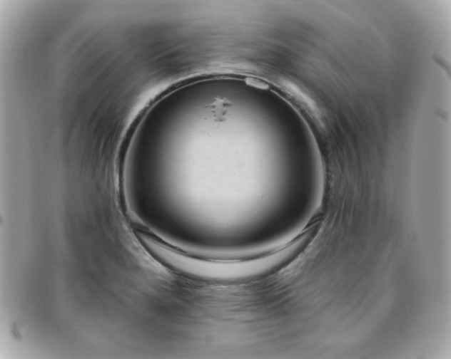 X0000096431280200801241330