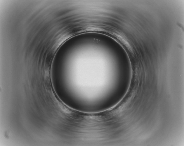 X0000096431281200801241330