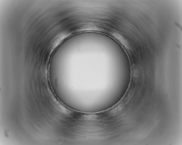 X0000096431282200801241330