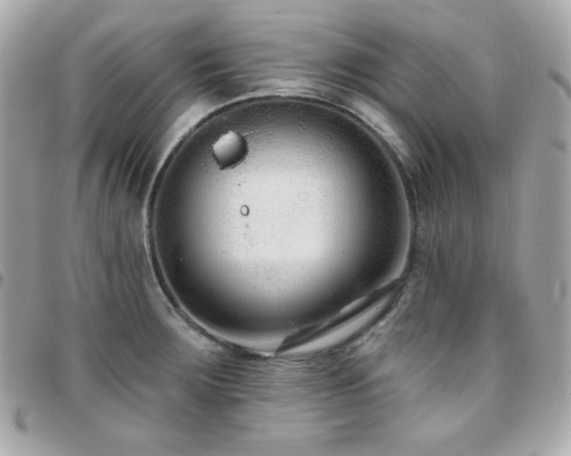 X0000096431283200801241330