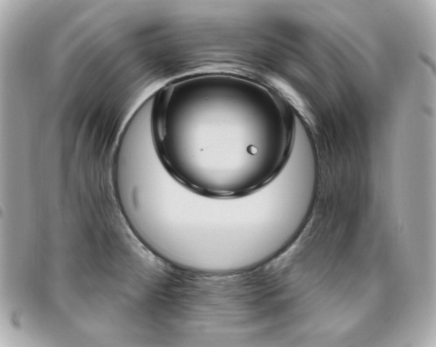 X0000096431284200801241330